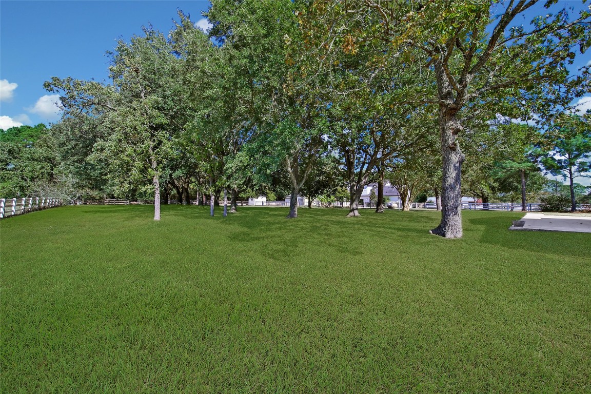 29919 Tudor Way Magnolia, TX 77355 - Photo 48 of 50 a view of green field