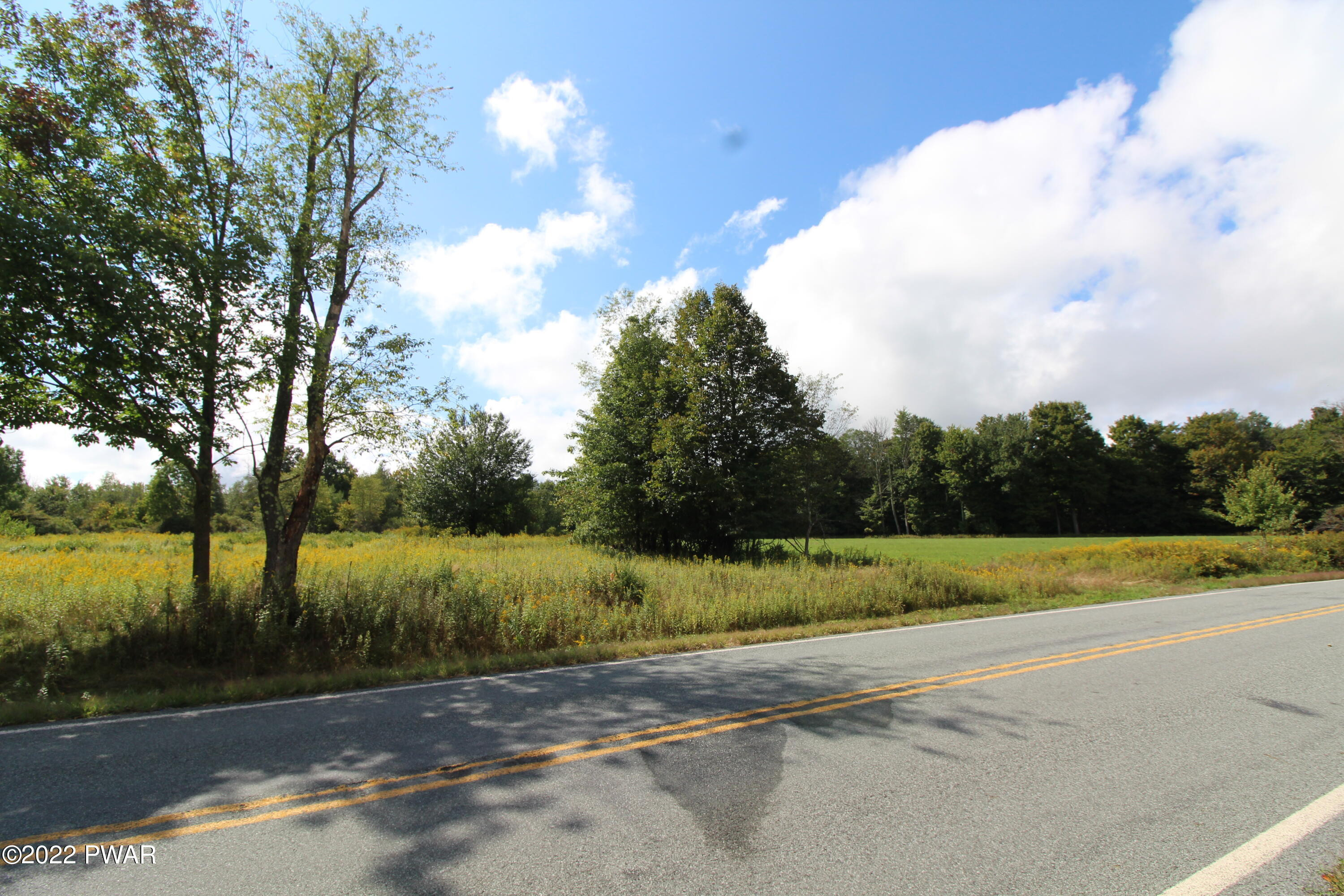 South Turnpike Road Newfoundland, PA 18445 - Photo 5 of 13