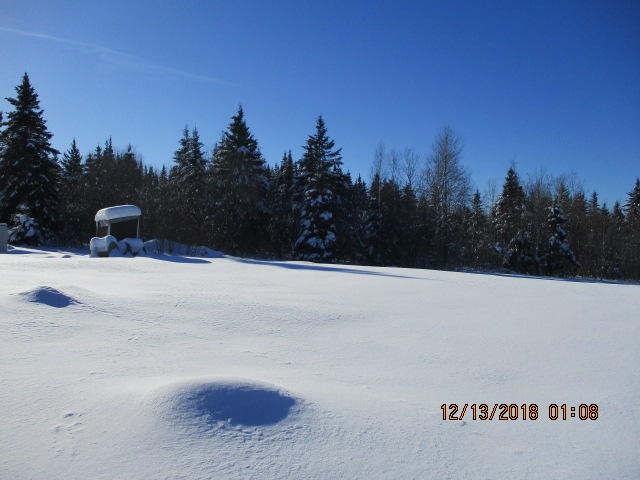 3777 Aroostook Road Winterville Plt, ME 04739 - Photo 13 of 13 IMG_1018
