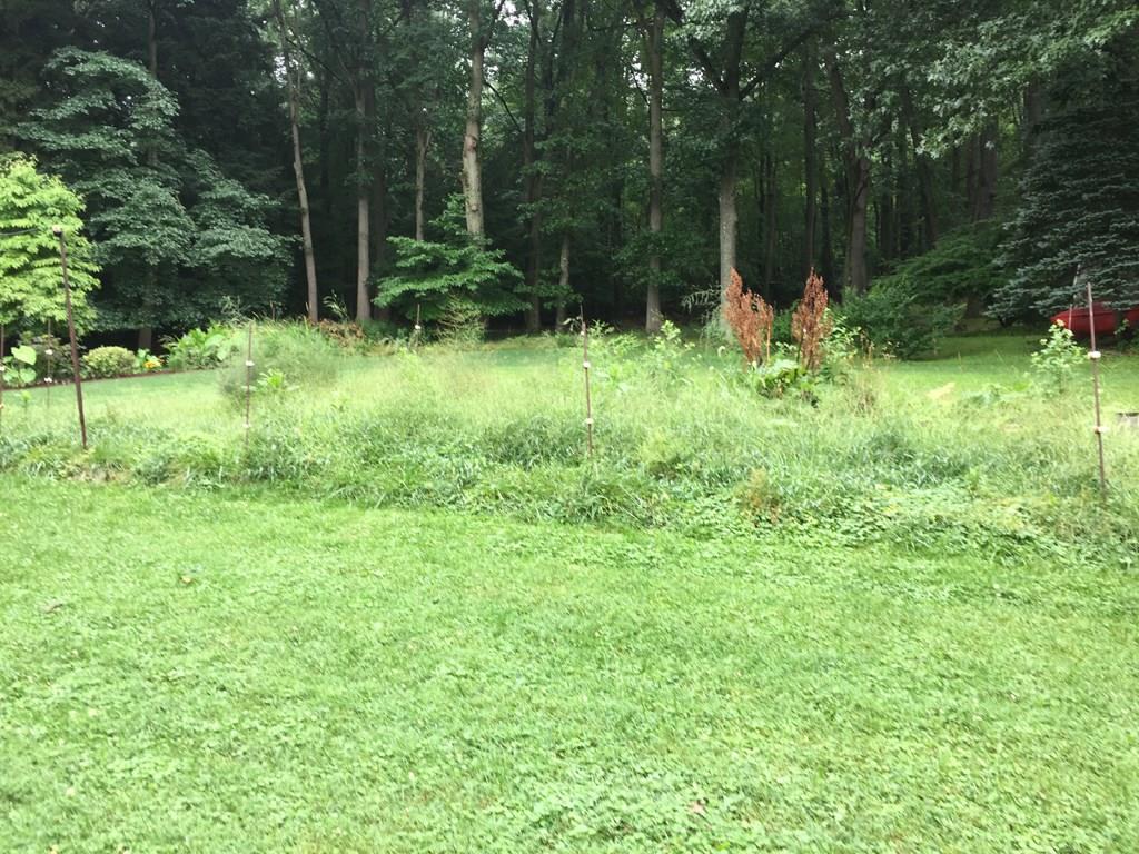 127 College Lodge Road Indiana, PA 15701 - Photo 21 of 22 Property