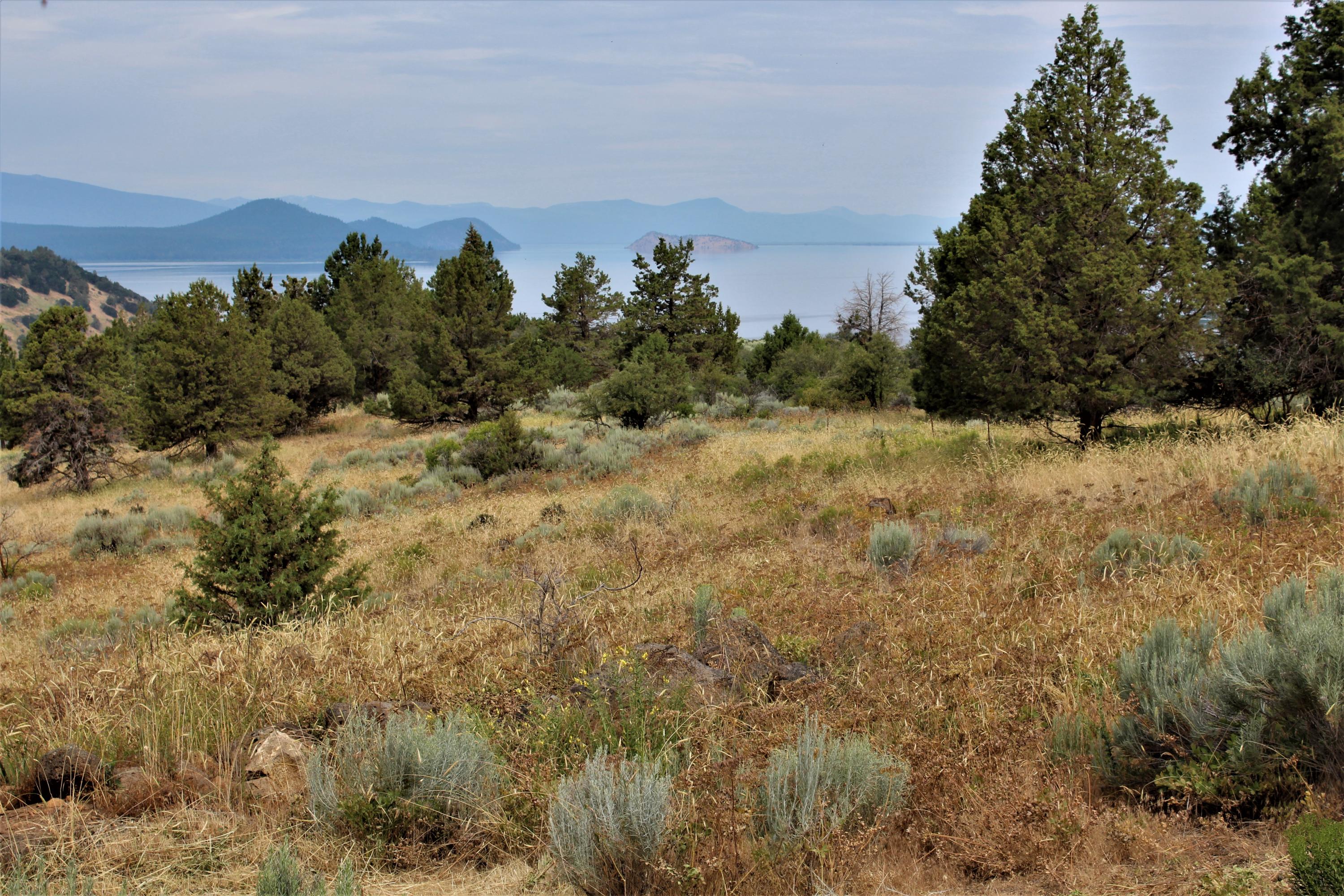 5775 Sunset Ridge Road Klamath Falls, OR 97601 - Photo 47 of 47 IMG_2658