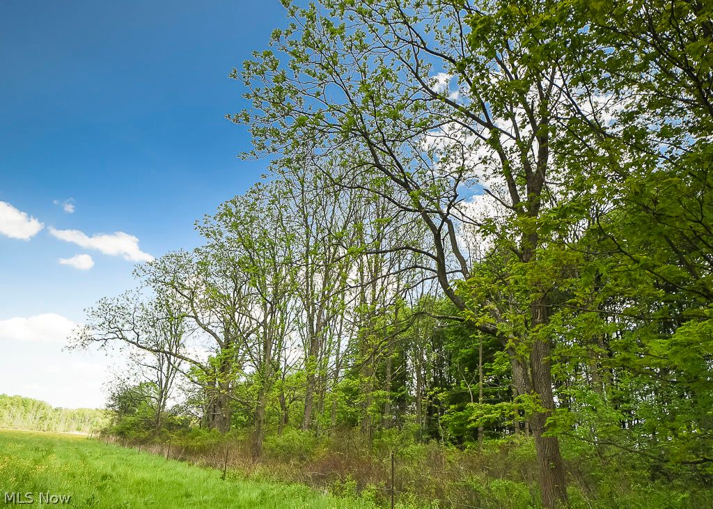 V/l Noble Road Windsor, OH 44099 - Photo 45 of 48