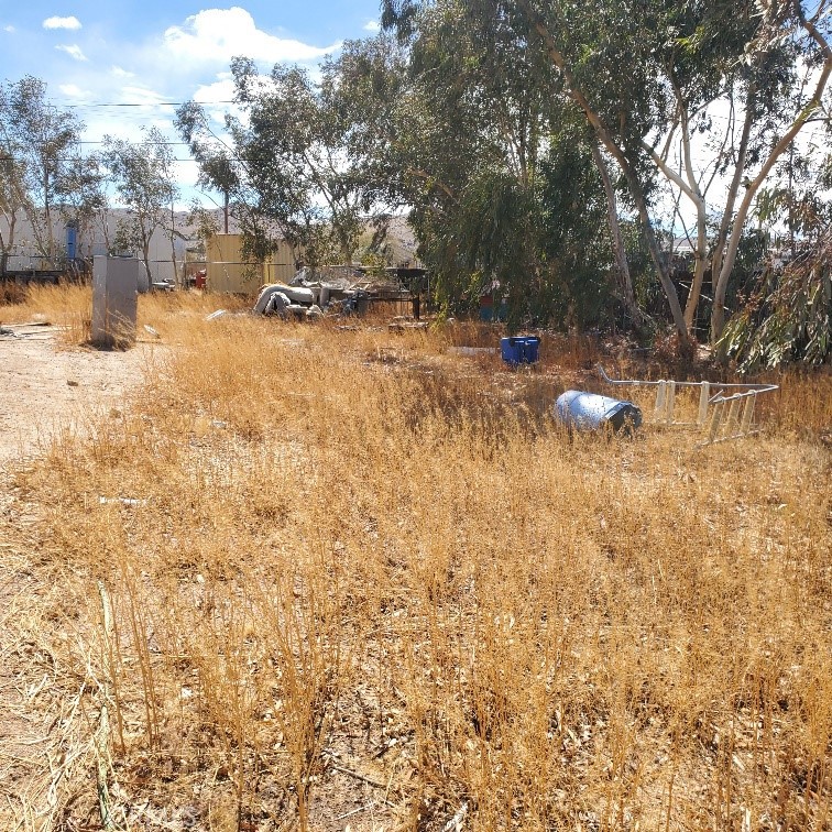 843 Sky Place Ridgecrest, CA 93555 - Photo 4 of 19 a view of yard covered with snow in outdoor space