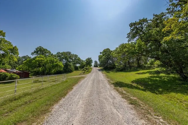 a view of a park with large trees