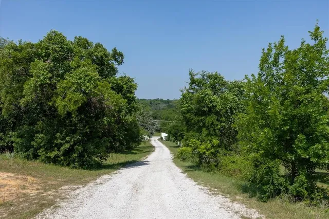 a view of a pathway both side of yard