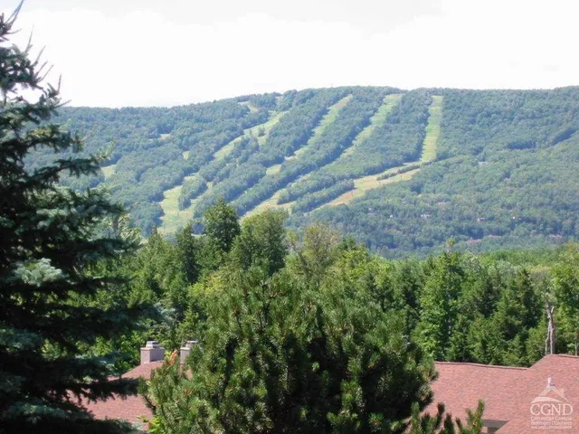 an aerial view of mountain with trees all around