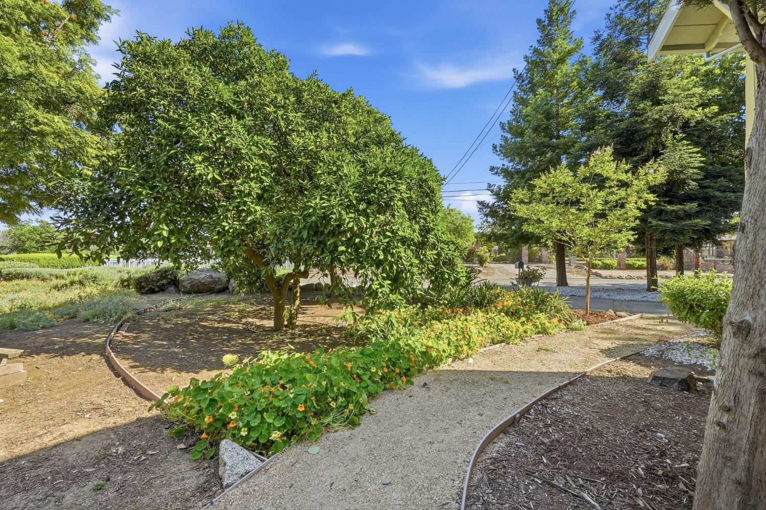 1487 Smith Road Yuba City, CA 95993 - Photo 48 of 58