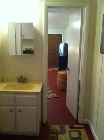 261 Halltown Road Cottontown, TN 37048 - Photo 12 of 14 a bathroom with a sink and a mirror