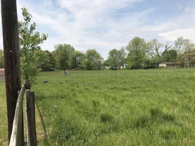 261 Halltown Road Cottontown, TN 37048 - Photo 13 of 14 a view of a lush green space