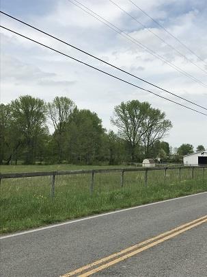 261 Halltown Road Cottontown, TN 37048 - Photo 6 of 14 a view of a yard and a tennis court