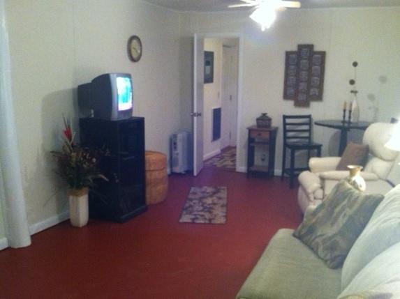 261 Halltown Road Cottontown, TN 37048 - Photo 8 of 14 a living room with furniture and a flat screen tv