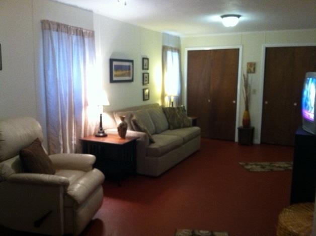 261 Halltown Road Cottontown, TN 37048 - Photo 10 of 14 a living room with furniture and a window