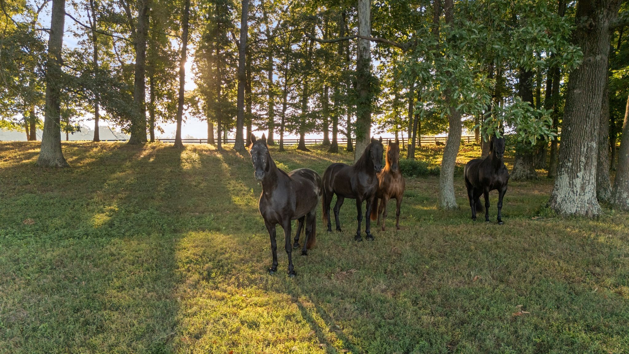 1421 Lawrence Lane Springfield, TN 37172 - Photo 6 of 43