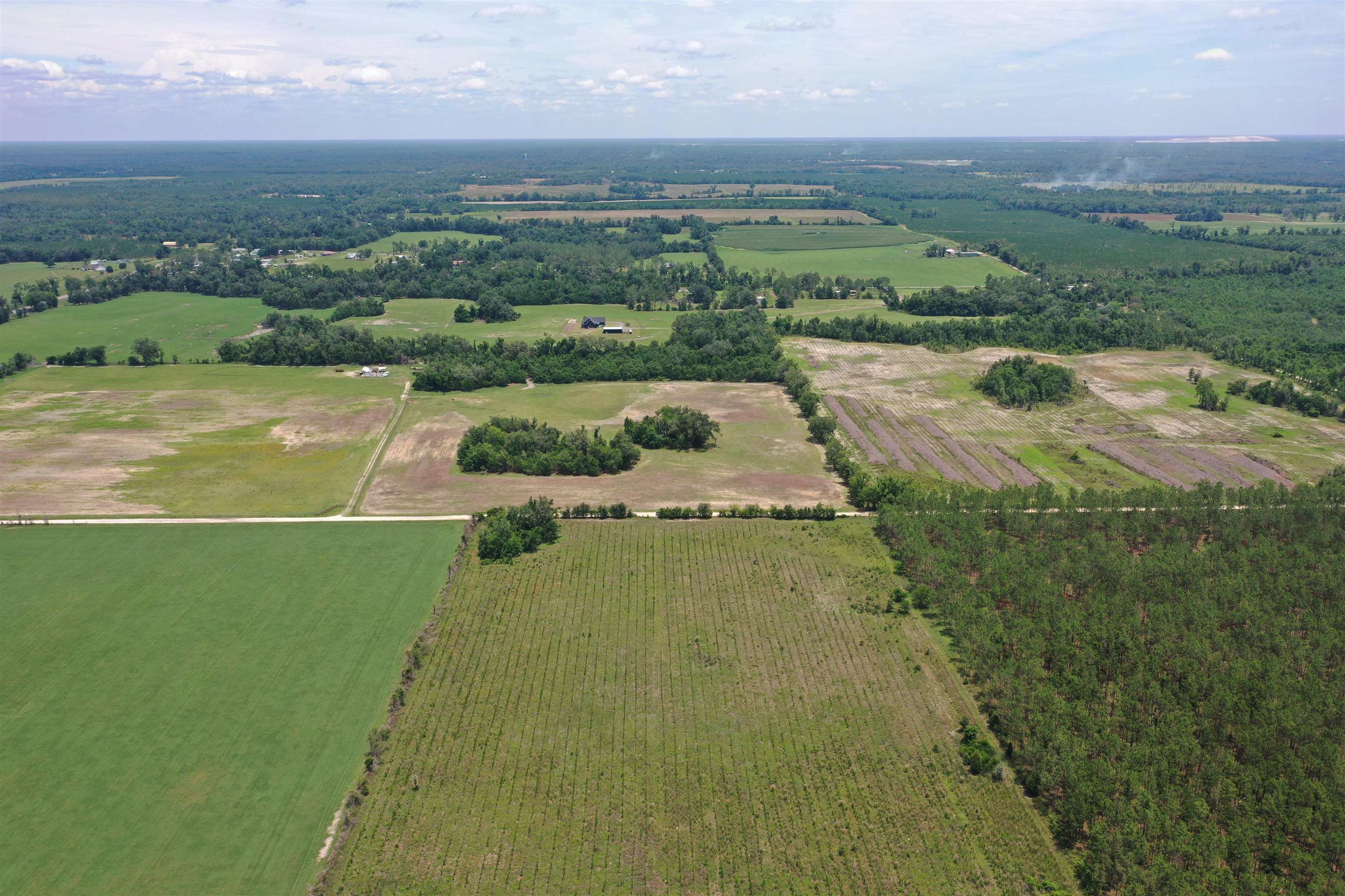 Southwest 86th Boulevard Jasper, FL 32052 - Photo 4 of 15