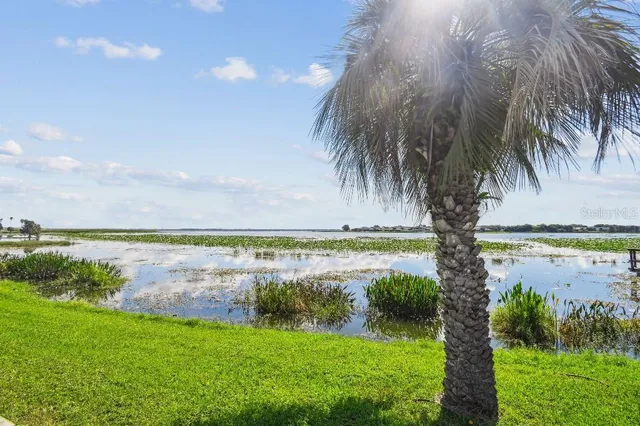 a view of a lake and a yard