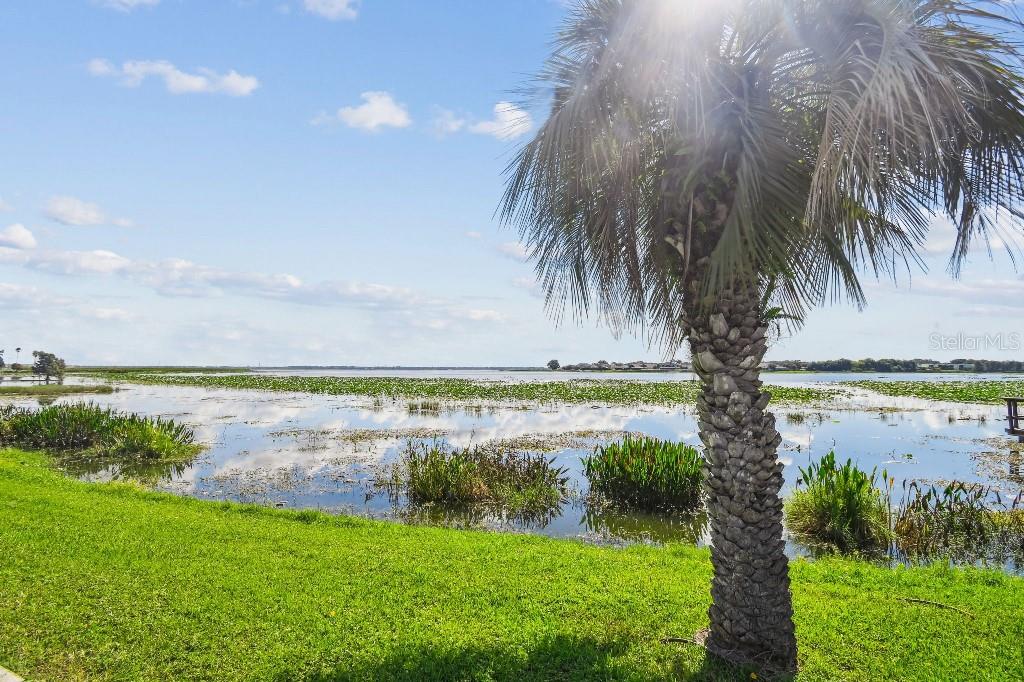1600 West Lake Parker Drive, Unit B22 Lakeland, FL 33805 - Photo 15 of 26 a view of a lake and a yard