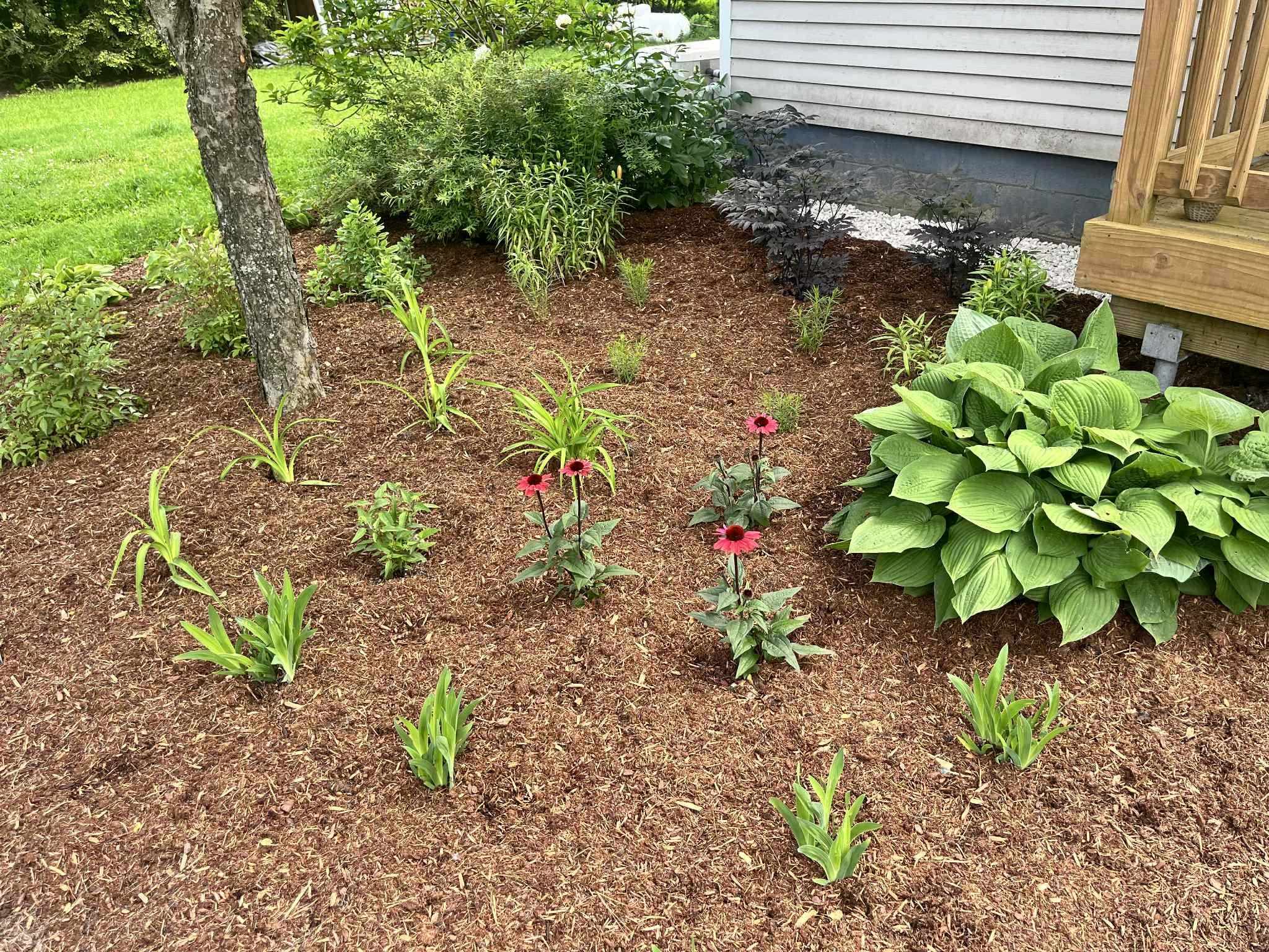 188 Atwood Road Duxbury, VT 05676 - Photo 24 of 30