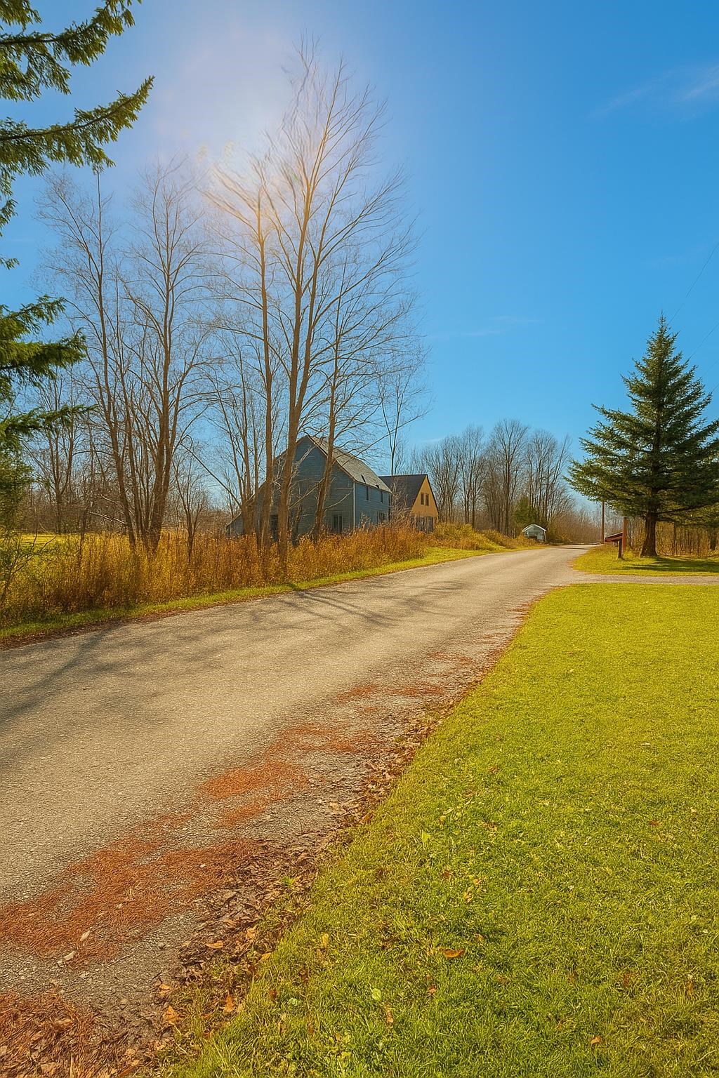188 Atwood Road Duxbury, VT 05676 - Photo 29 of 30