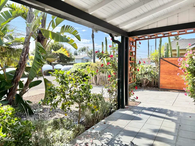 a view of a hallway with a potted plant on a wall
