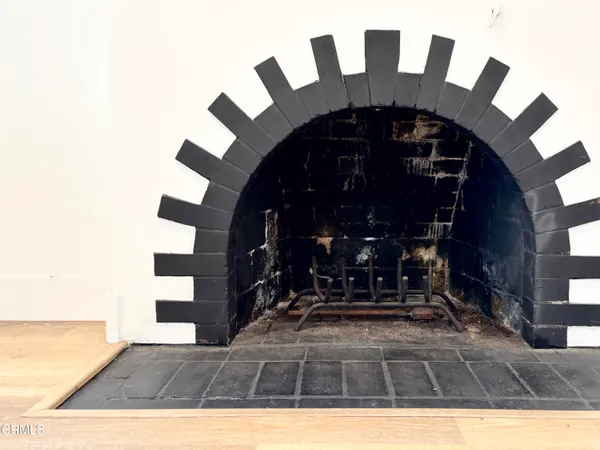 a front view of flowers and flowers