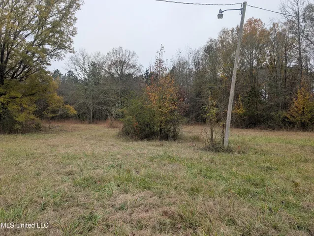 $60,000 | 564 Virgin Mary Road, Camden, MS 39045