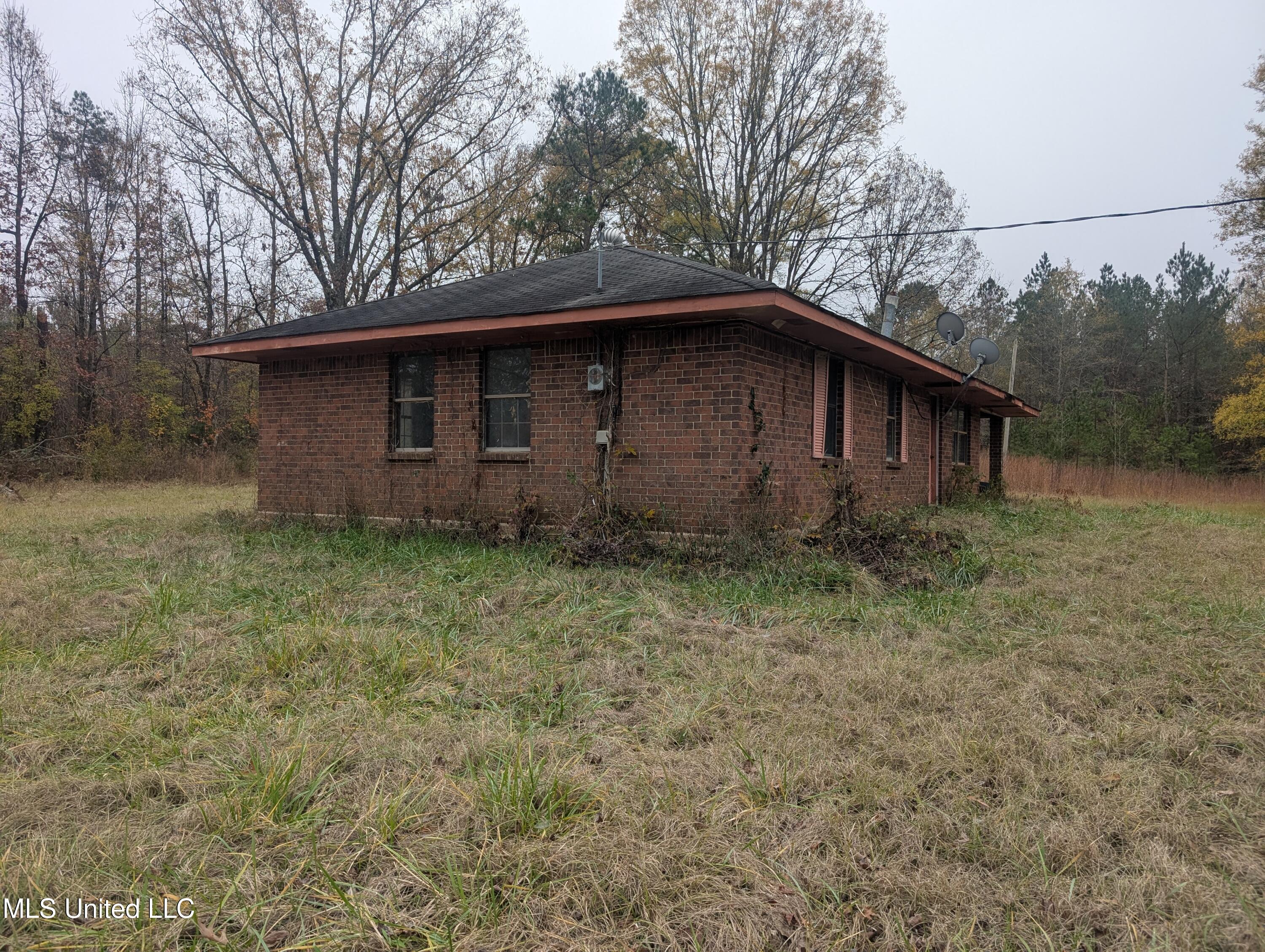 564 Virgin Mary Road Camden, MS 39045 - Photo 4 of 28 1000011970