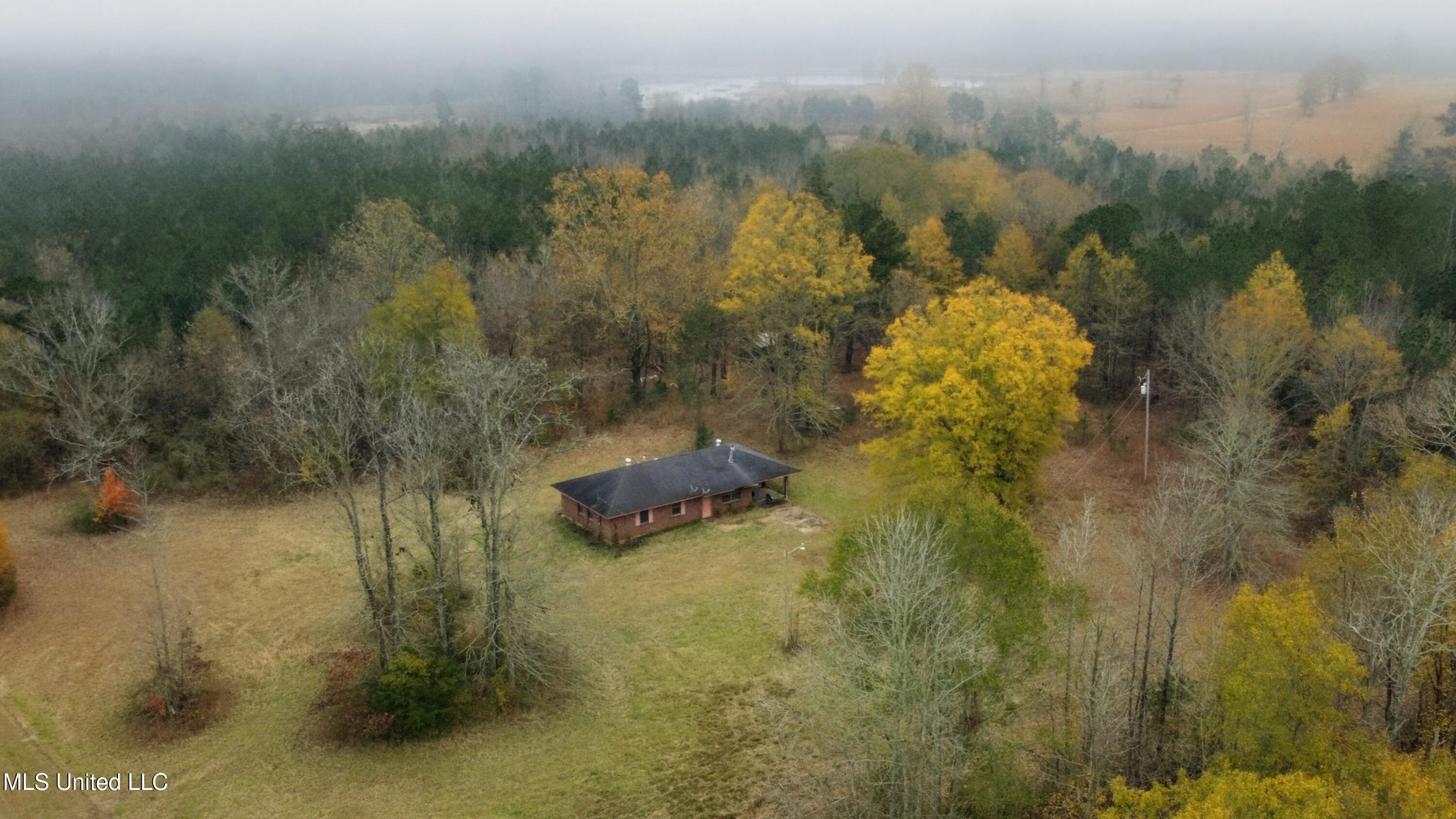 564 Virgin Mary Road Camden, MS 39045 - Photo 8 of 28 1000012068