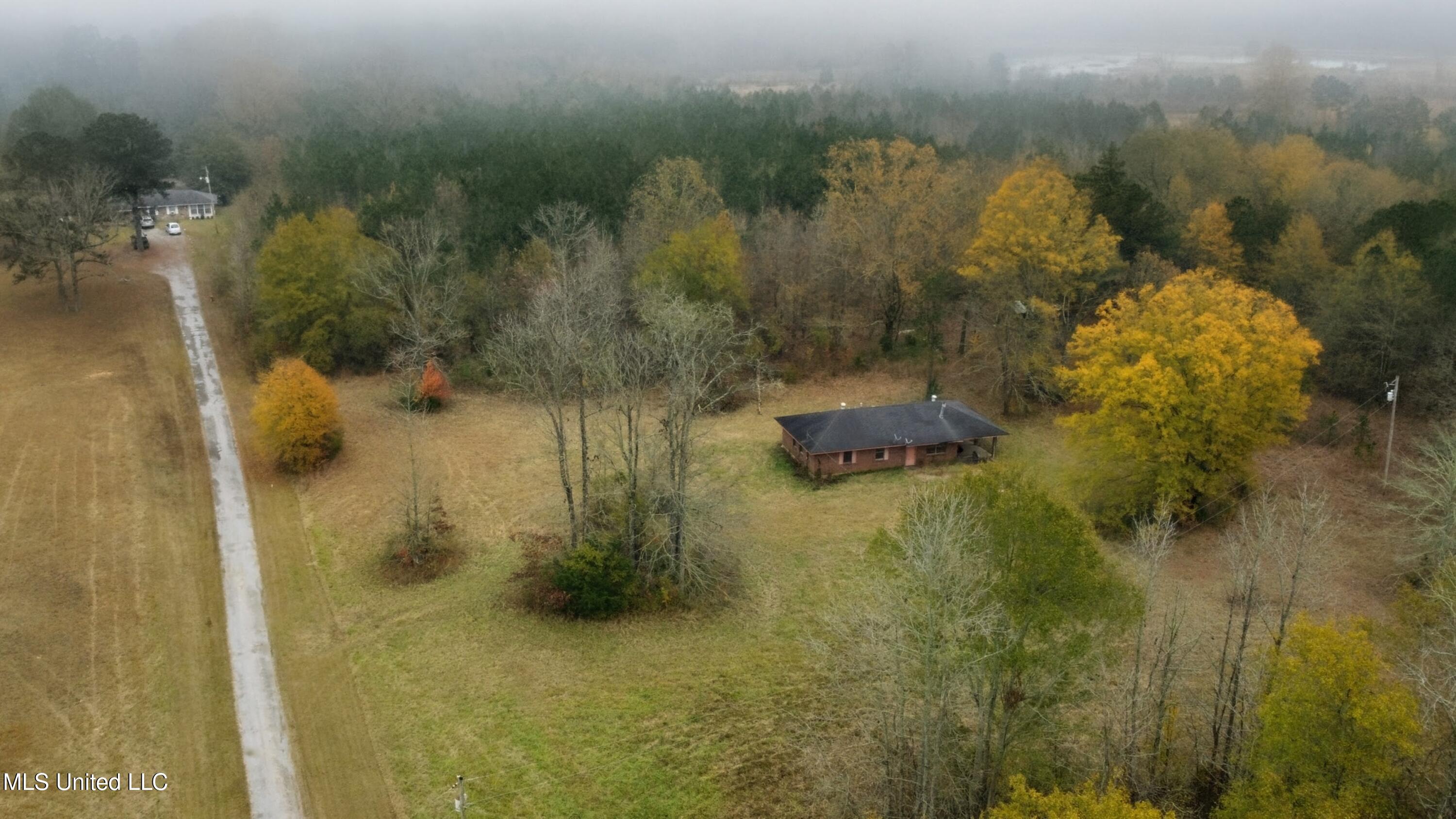 564 Virgin Mary Road Camden, MS 39045 - Photo 10 of 28 1000012069