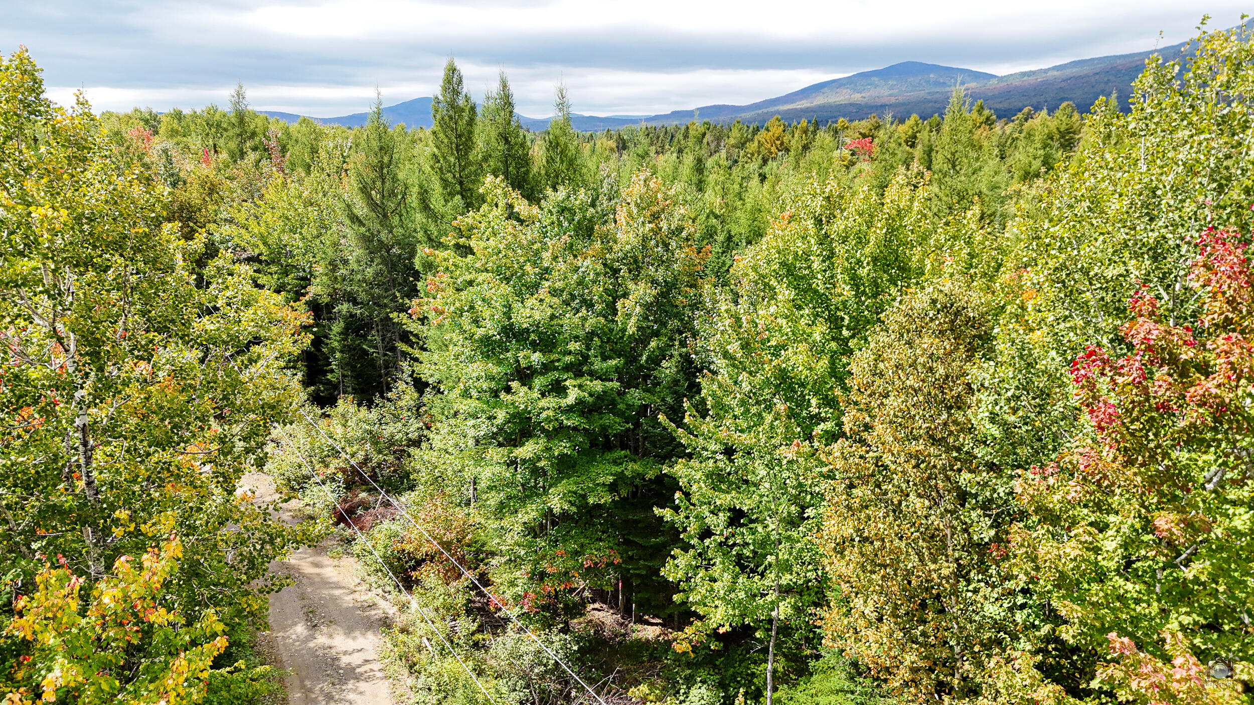 Lot F Lot F Stephensons Road Stratton, ME 04982 - Photo 8 of 25 324-DP-109