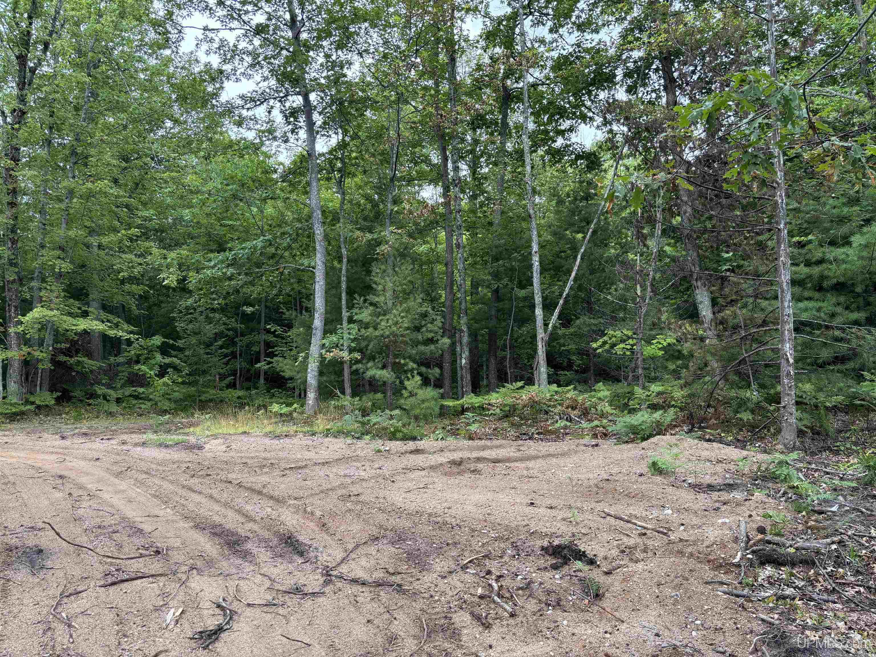 Tbd Neejee Road Negaunee, MI 49866 - Photo 11 of 29 Gallery Image 11