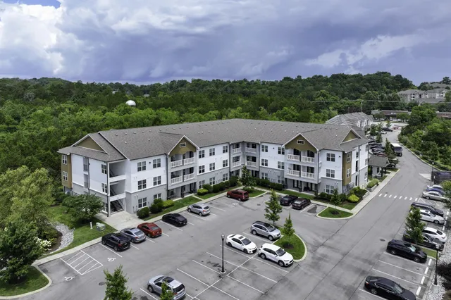 an aerial view of a house with a garden and a yard