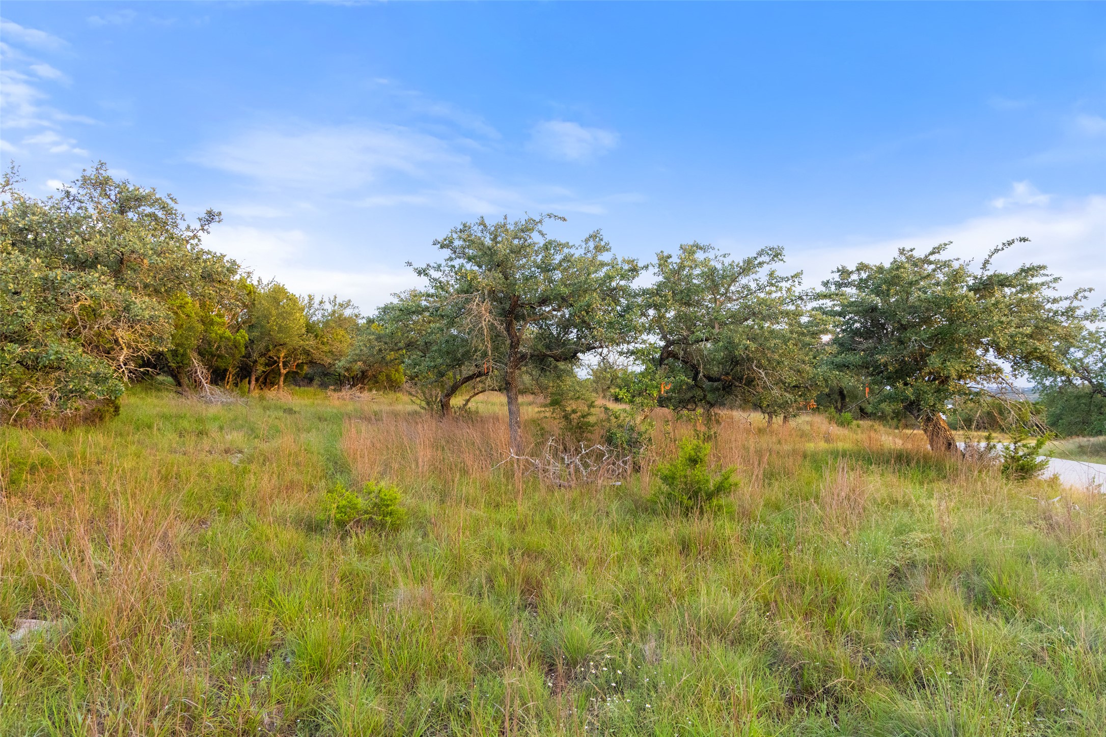 31930 Mirela Ann Road Dripping Springs, TX 78620 - Photo 5 of 12