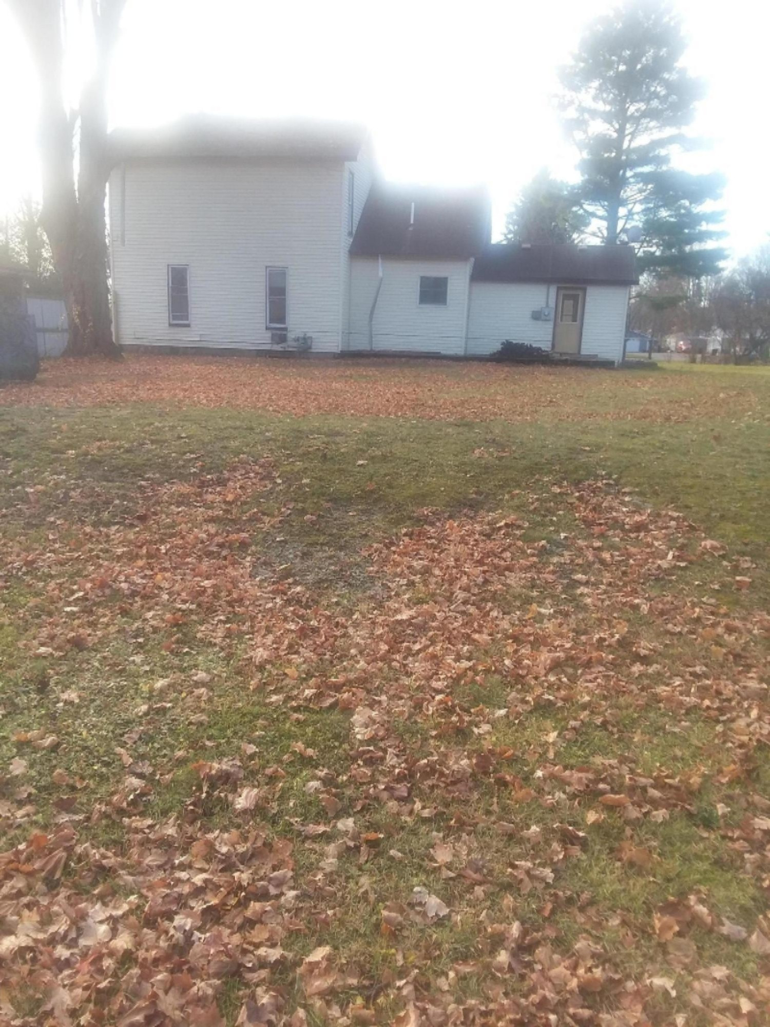 423 North Higbee Street Reed City, MI 49677 - Photo 2 of 12 north view