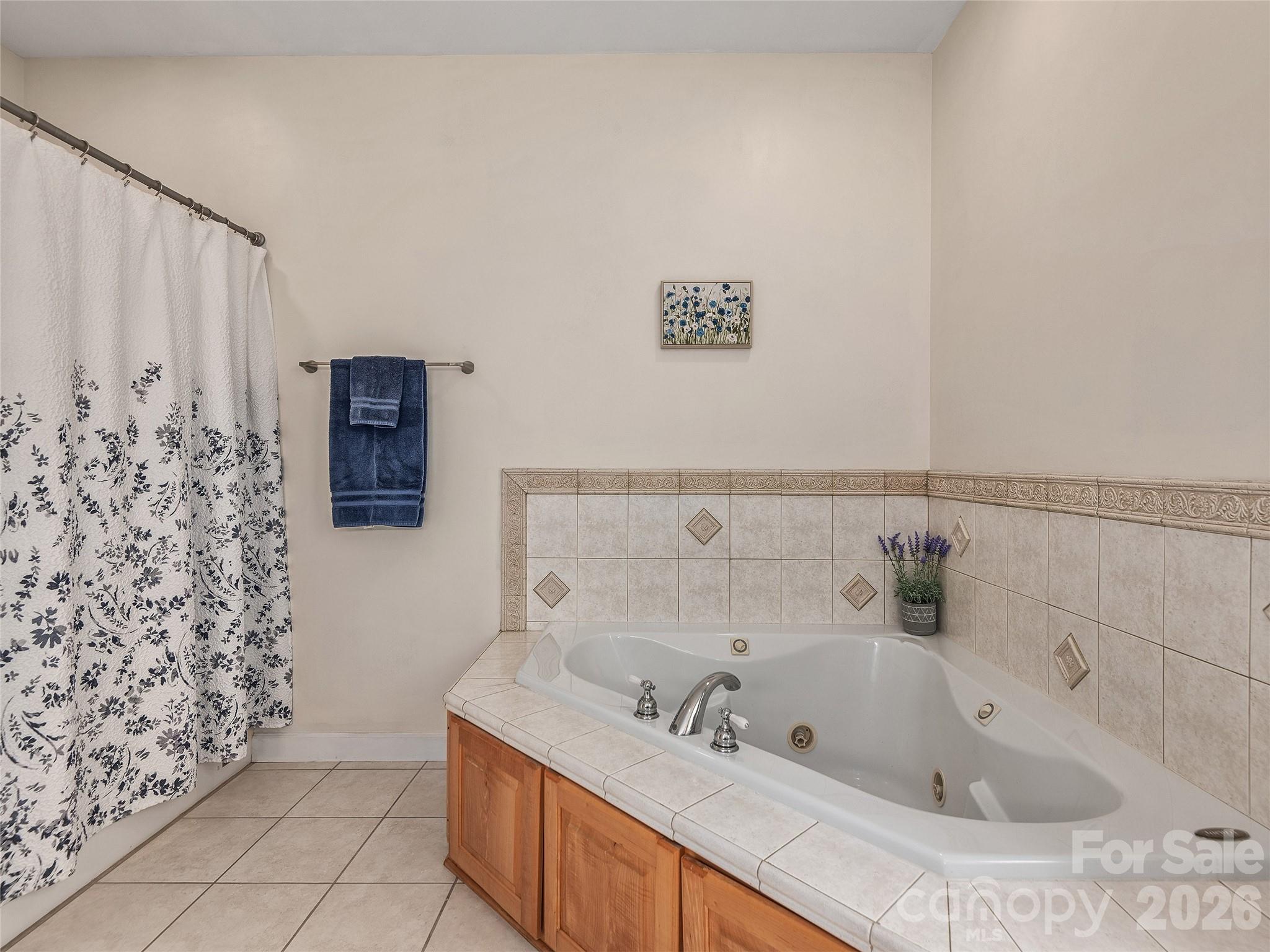232 Wild Haven Way Mill Spring, NC 28756 - Photo 20 of 33