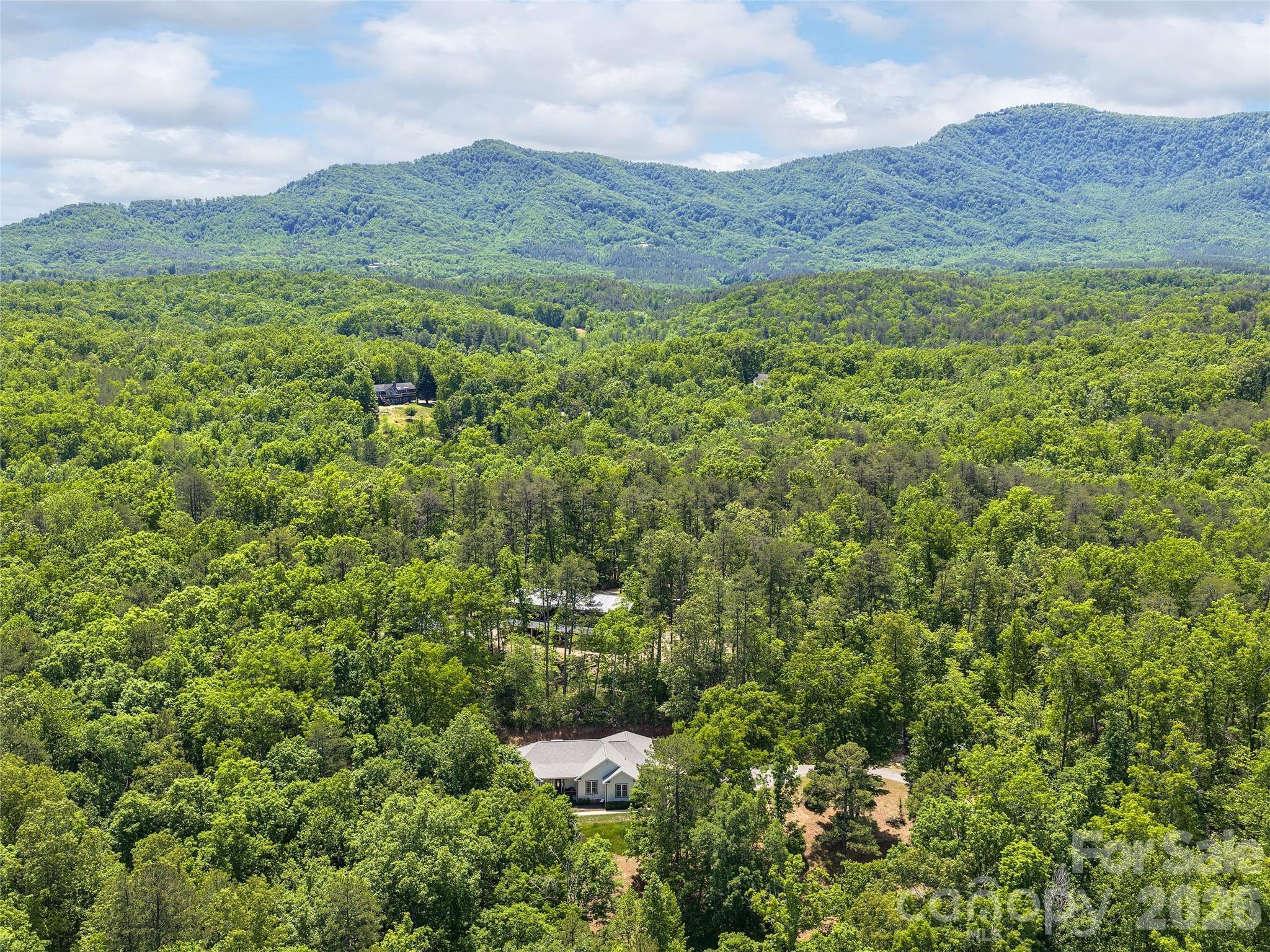 232 Wild Haven Way Mill Spring, NC 28756 - Photo 33 of 33