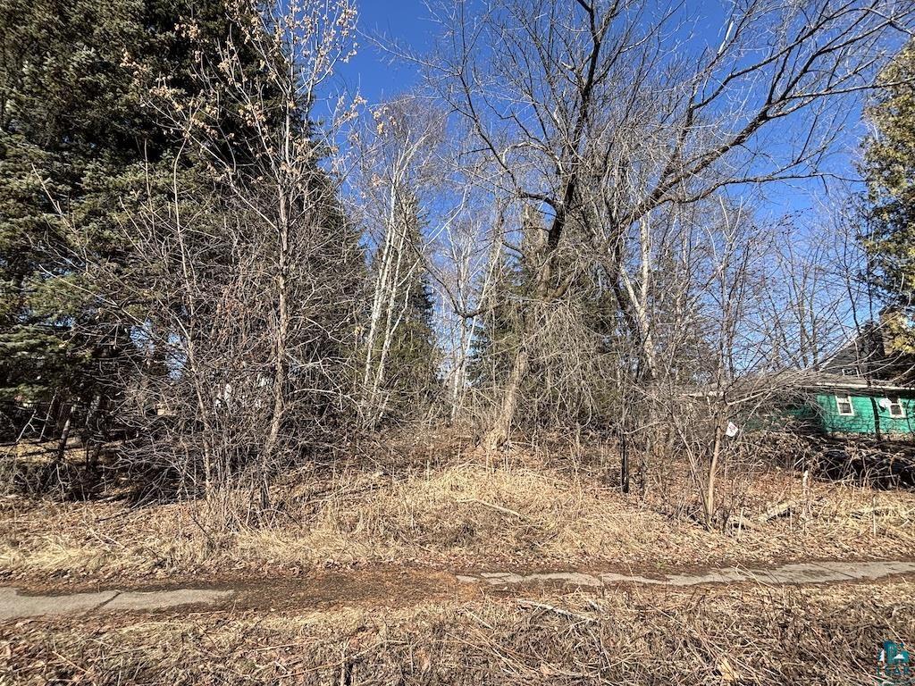 45-xx London Road Duluth, MN 55804 - Photo 2 of 5 Gallery Image 2
