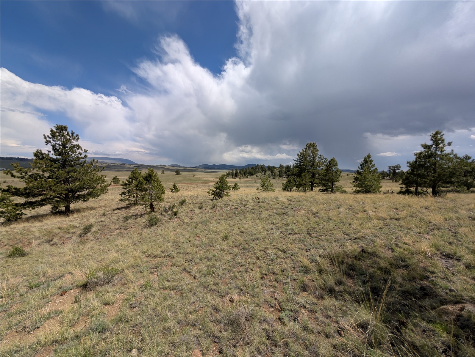 0 Black Beaver Road Hartsel, CO 80449 - Photo 25 of 28 Gallery Image 25