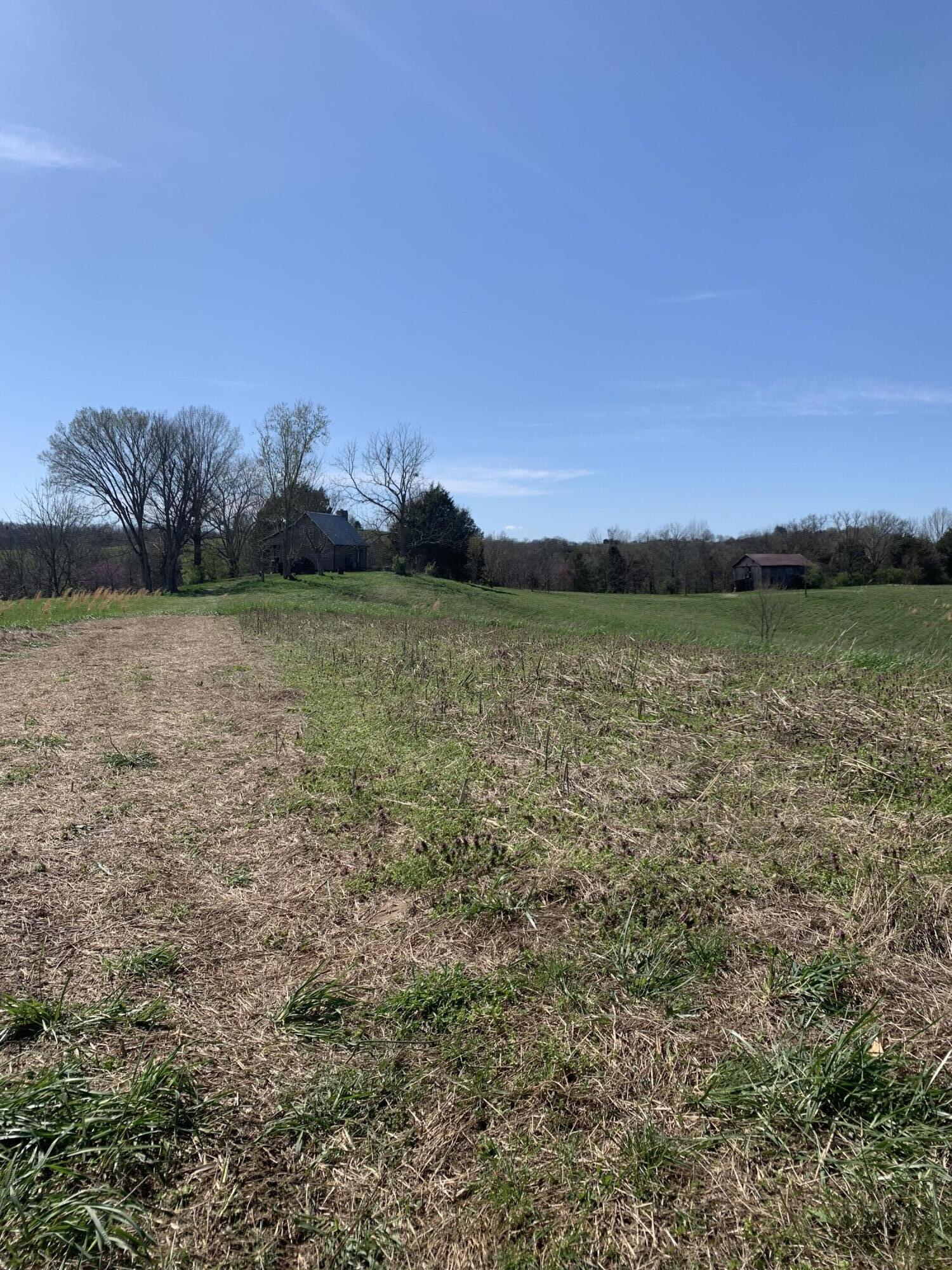 951 Whitlock Road Richmond, KY 40475 - Photo 8 of 20 IMG_7533