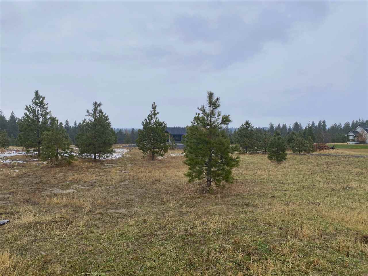 425 East Chattaroy Road Colbert, WA 99005 - Photo 42 of 43 Gallery Image 42