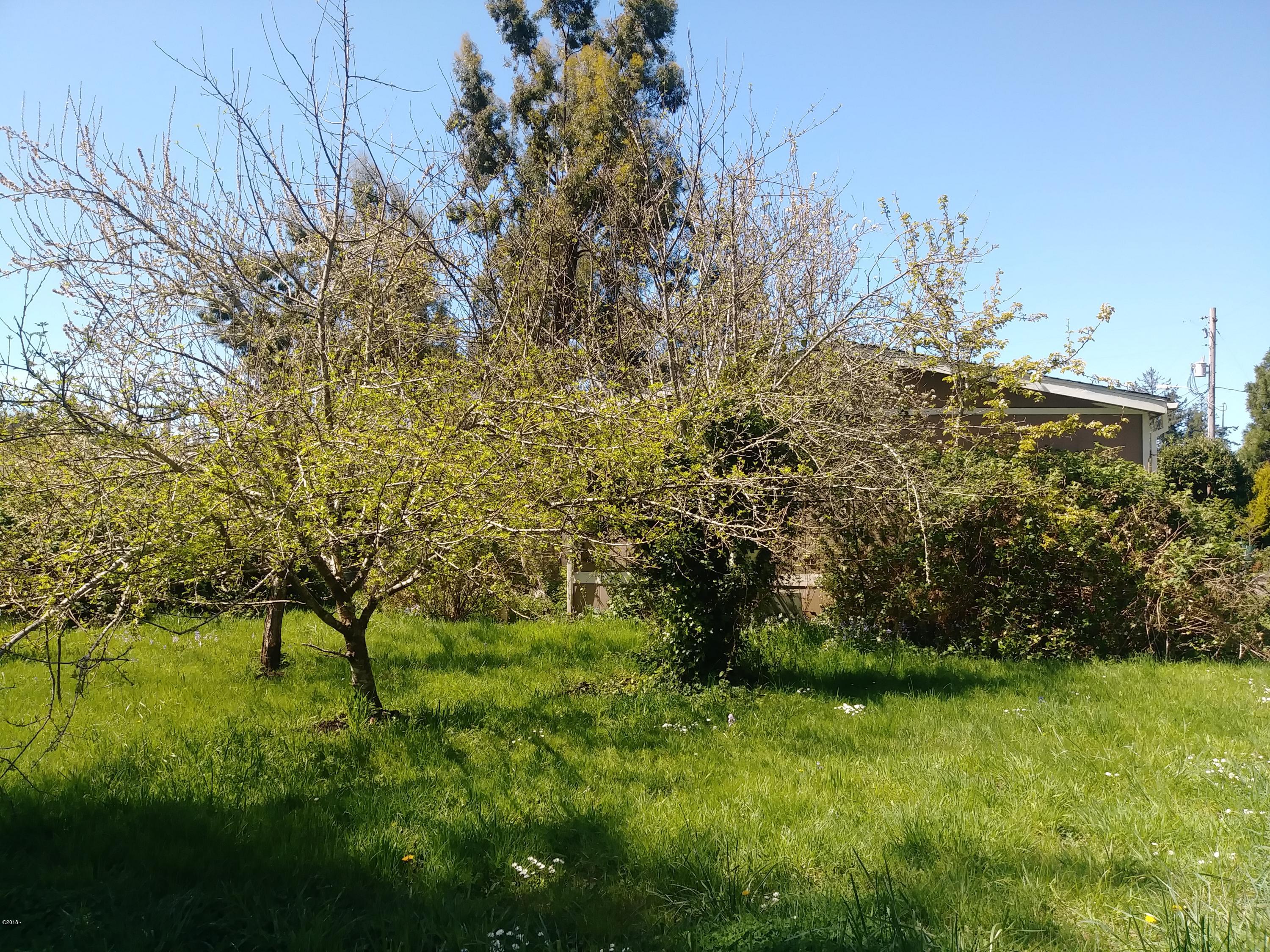 511 Southeast Moffitt Road Waldport, OR 97394 - Photo 10 of 37 Back yard