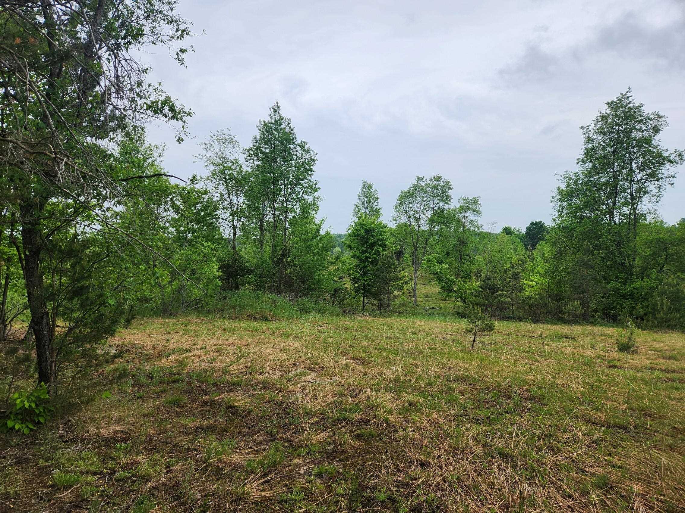 5948 Kniss Road Southeast Kalkaska, MI 49646 - Photo 11 of 37