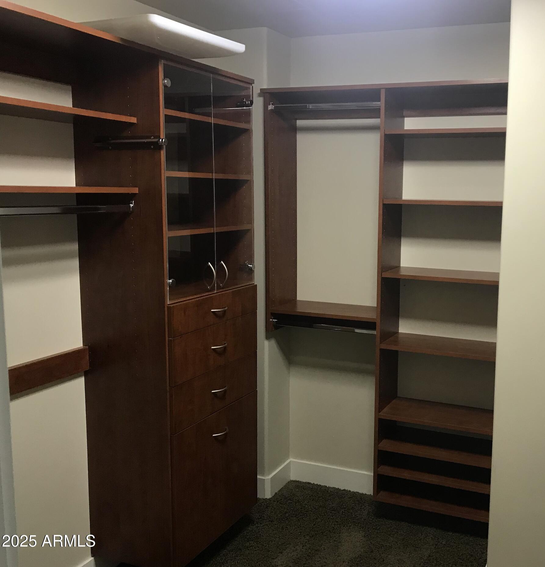 140 East Rio Salado Parkway, Unit 411 Tempe, AZ 85281 - Photo 18 of 19 Primary Closet