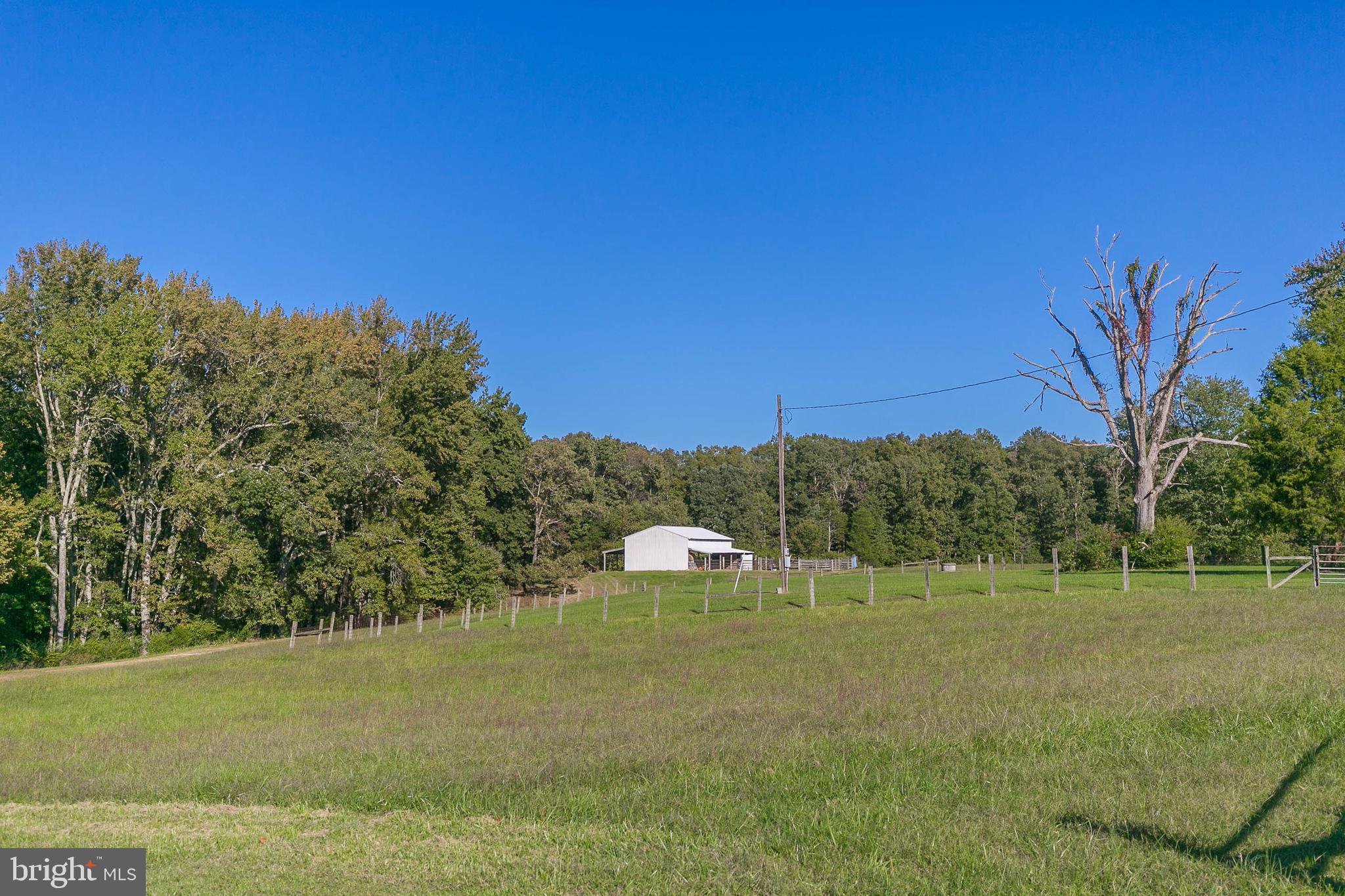 20465 Sparta Road Milford, VA 22514 - Photo 16 of 79 Previously used as a Beef Cattle Farm