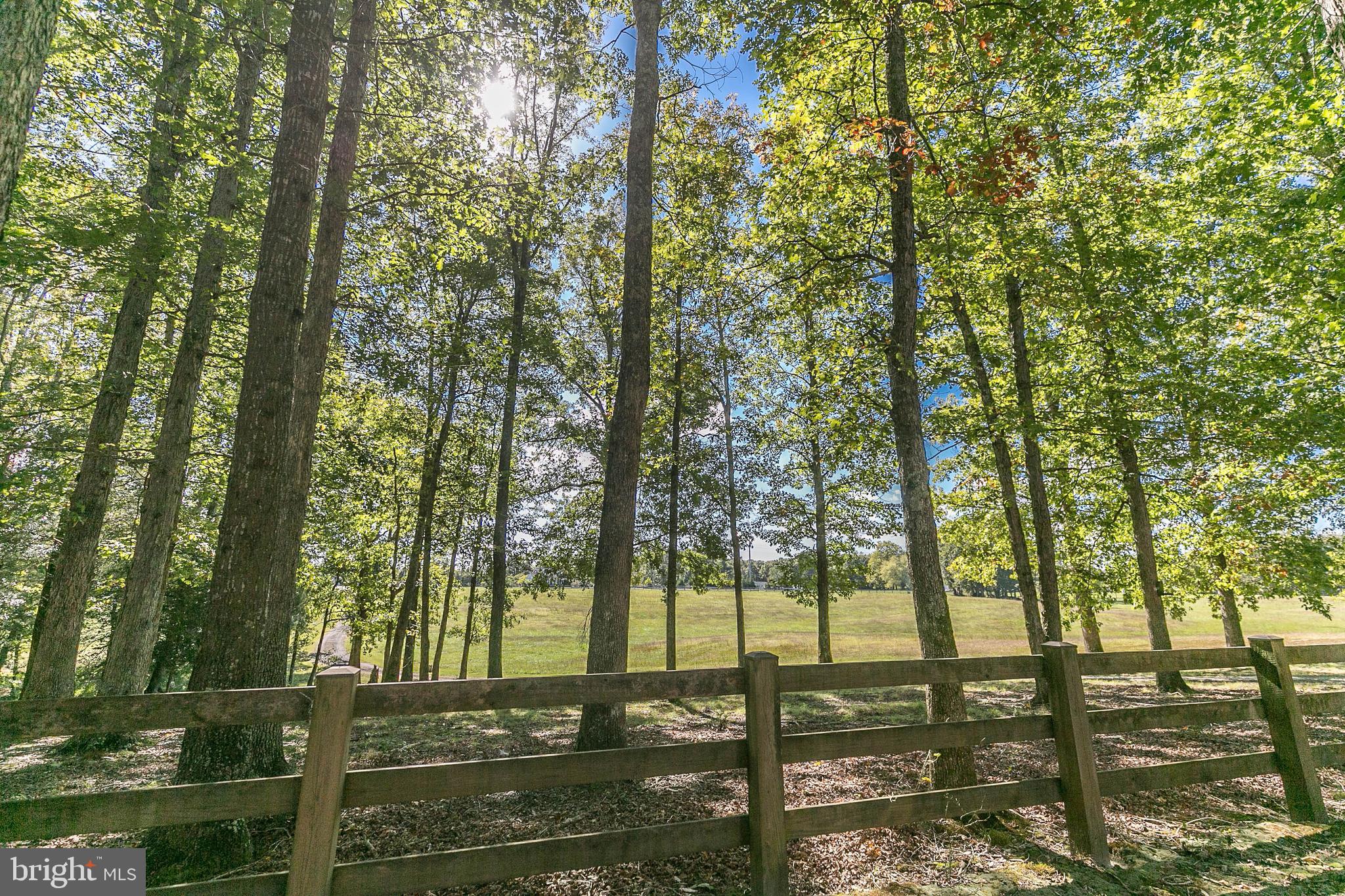 20465 Sparta Road Milford, VA 22514 - Photo 68 of 79 Gallery Image 68