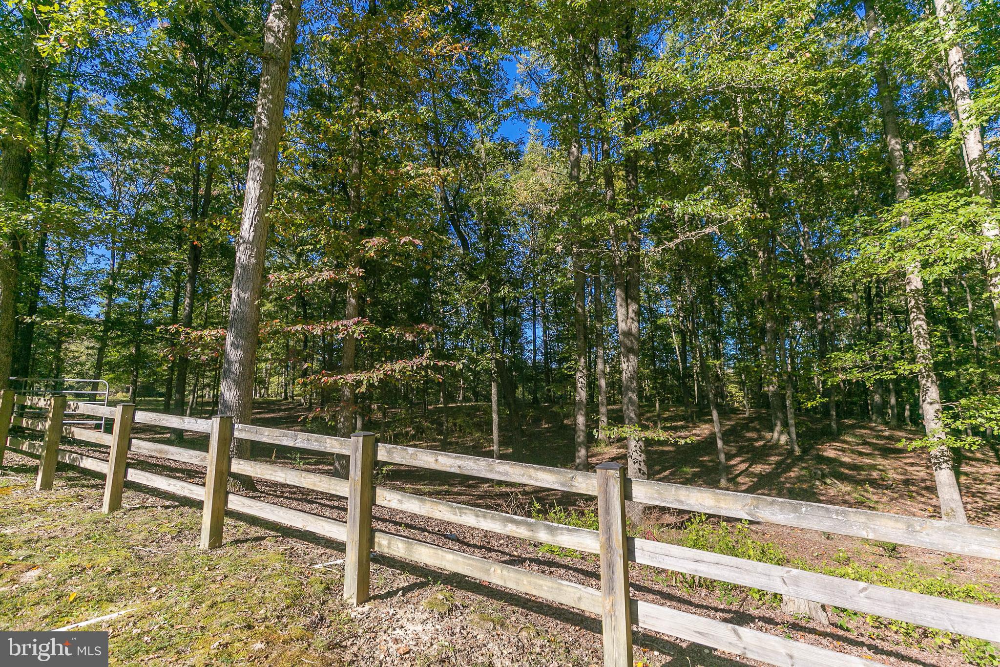 20465 Sparta Road Milford, VA 22514 - Photo 70 of 79 Gallery Image 70