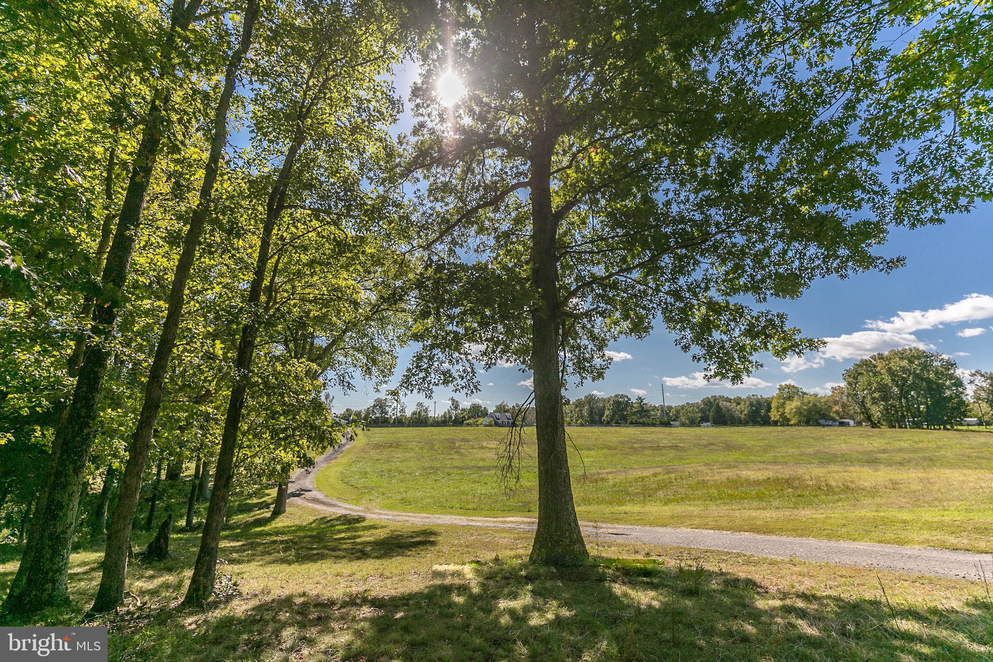 20465 Sparta Road Milford, VA 22514 - Photo 71 of 79 Gallery Image 71