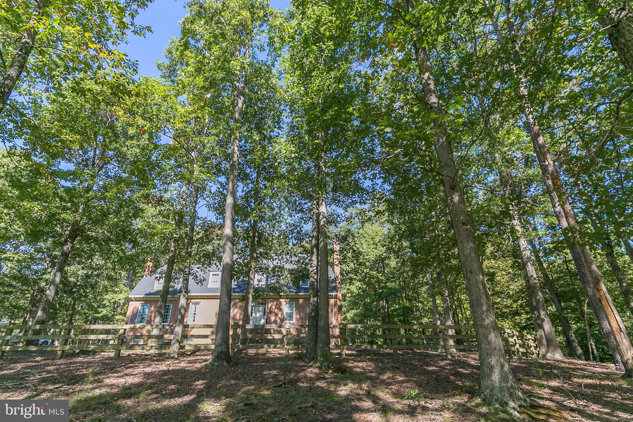 20465 Sparta Road Milford, VA 22514 - Photo 72 of 79 Gallery Image 72