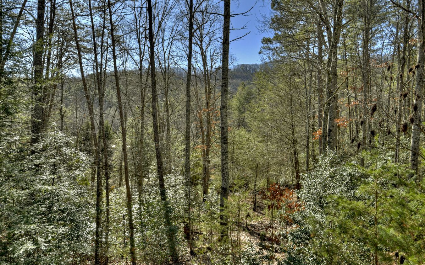 495 Harrison And Ada Road Blue Ridge, GA 30513 - Photo 8 of 50 Additional View