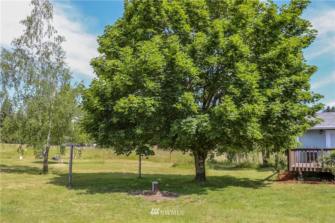 18947 Joselyn Road Southwest Rochester, WA 98579 - Photo 22 of 25