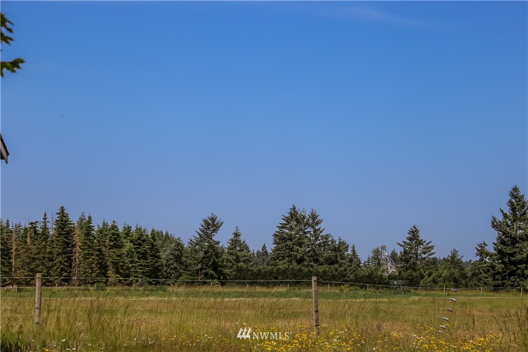 18947 Joselyn Road Southwest Rochester, WA 98579 - Photo 25 of 25